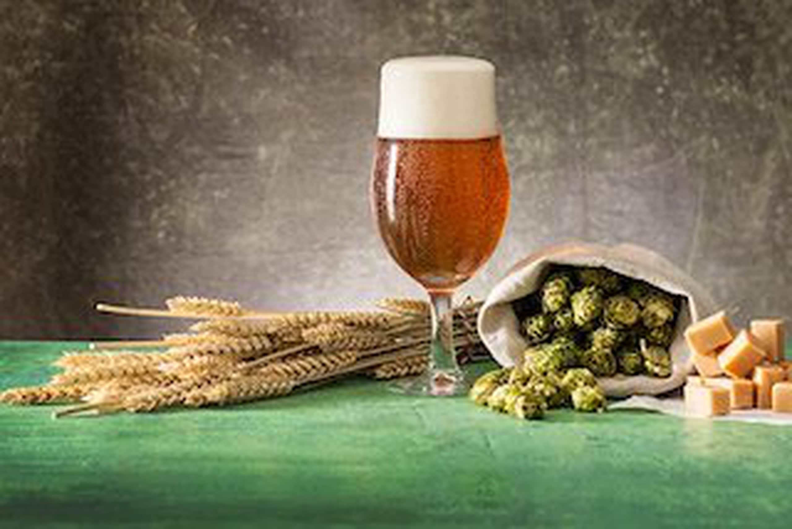 Amber Bier: alles over deze biersoort | Gall & Gall